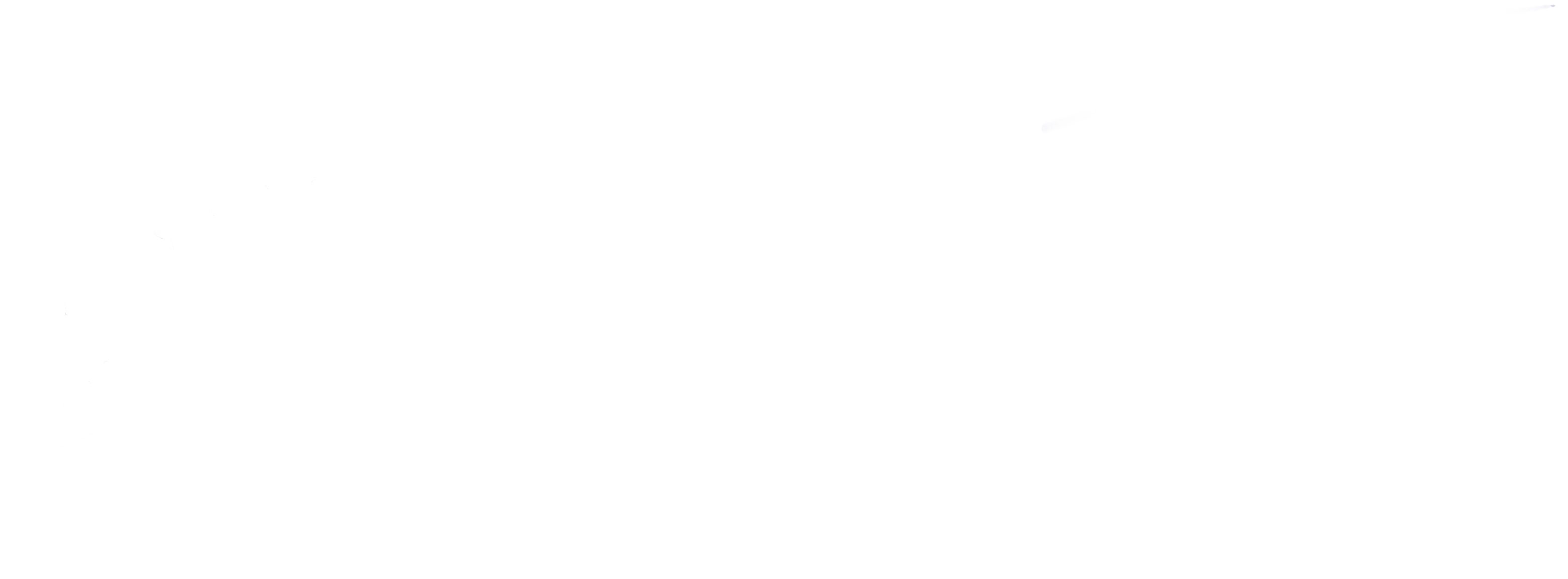 Benjamin D. Summers Signature